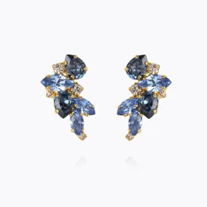 Demi Earrings / Blue Combo