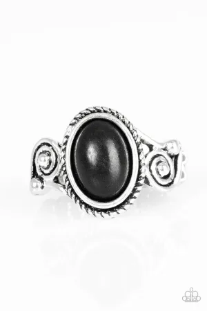 Paparazzi Ring ~ Cactus Creek - Black