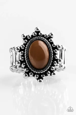 Paparazzi Ring ~ Seasonal Sunshine - Brown