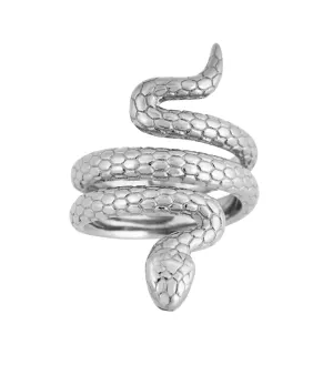 Snake Ring Steel